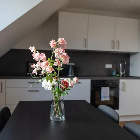 Apartment Im Zentrum Von Koblenz *